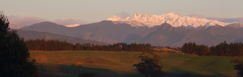 Wharepapa; Mt Arthur